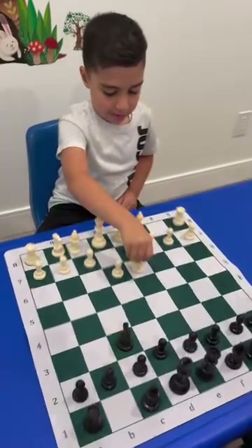 Chess